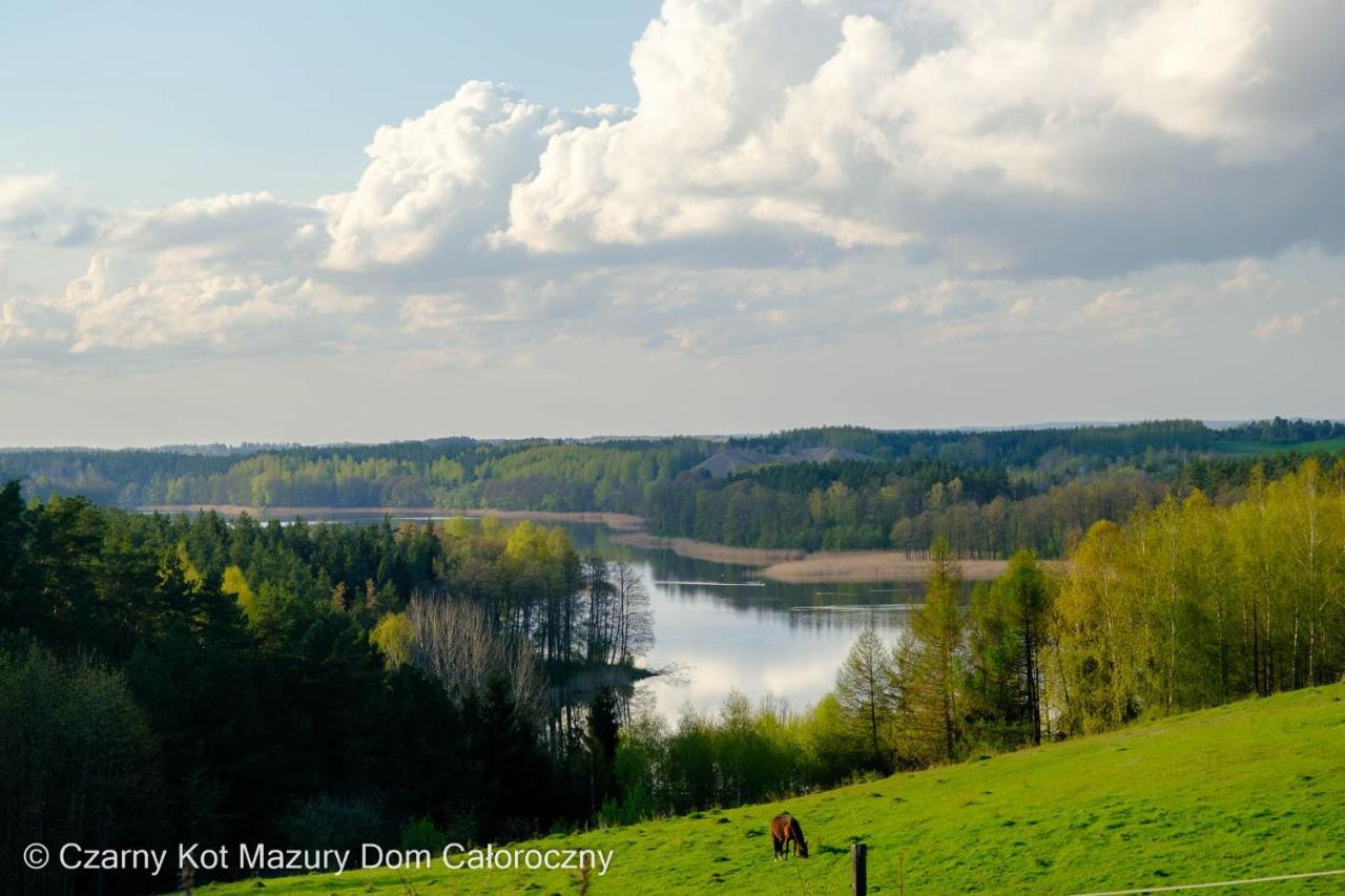 Czarny Kot Mazury Dom Caloroczny Villa Malkinie Eksteriør billede
