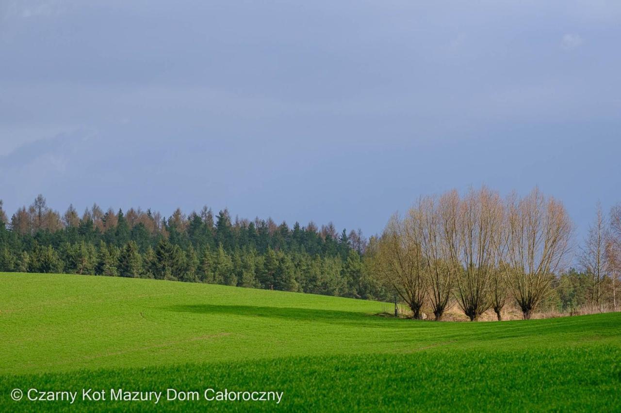 Czarny Kot Mazury Dom Caloroczny Villa Malkinie Eksteriør billede